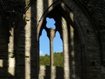 FZ033780 Shadows on Tintern Abbey.jpg